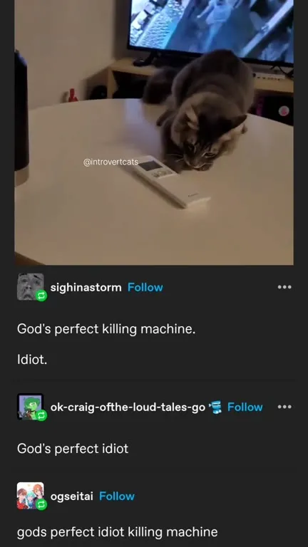God's Perfect Idiot Killing Machine