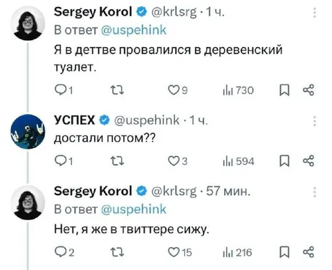 Провалился в деревенский туалет