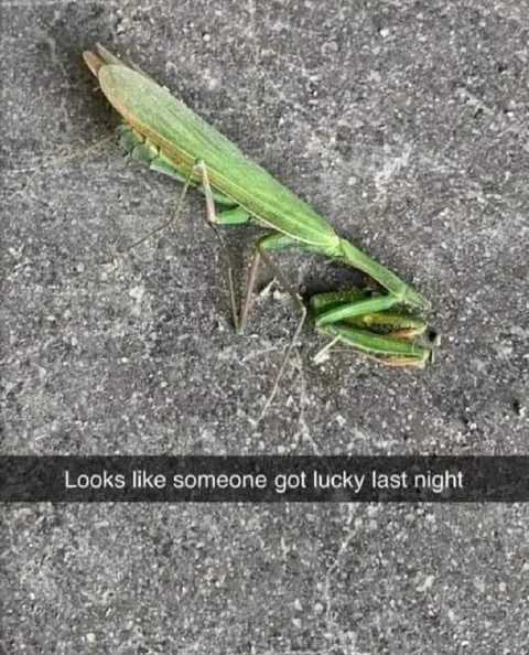 Someone Got Lucky Last Night
