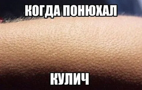 Когда понюхал кулич