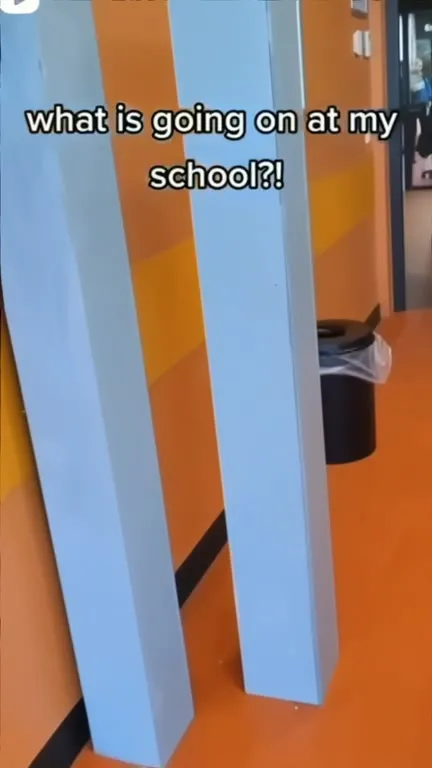 What Is Going On at My School