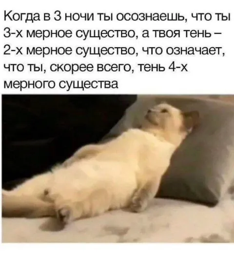 Тень четвёртого измерения