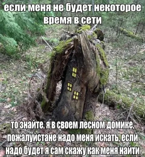 Я в своём лесном домике