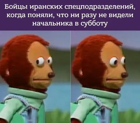 Бойцы без начальника в субботу
