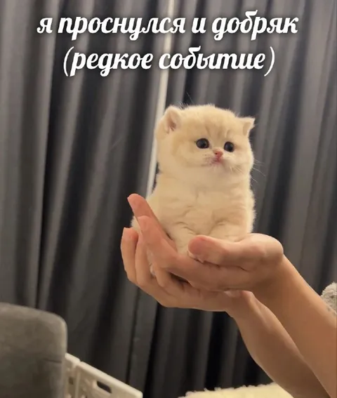 Проснулся добряком