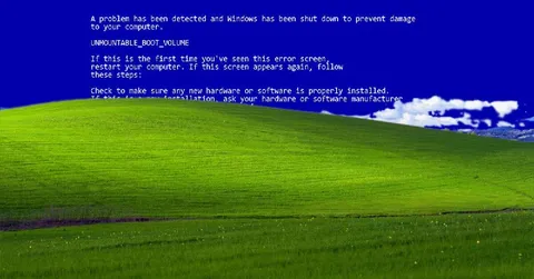 Windows XP Blue Screen of Death