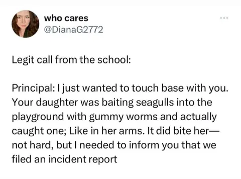 Principal Calls About Seagull Incident