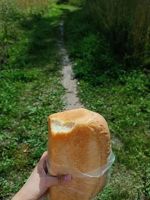 Батон в лесу