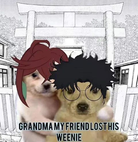 Grandma My Friend Lost His Weenie