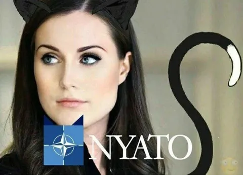 NATO Cat Tail