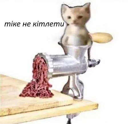 Кіт робить м’ясні кітлети