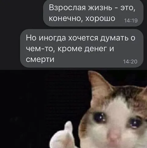 Взрослая жизнь и смерть
