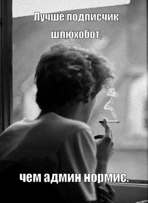 Подписчик-шлюхобот лучше админа-нормиса
