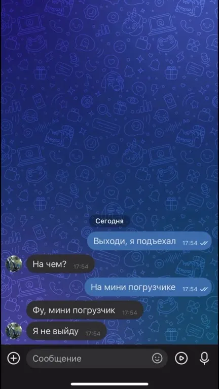 Мини-погрузчик вместо машины