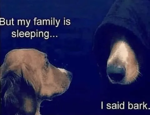 Dog Says Bark at Night