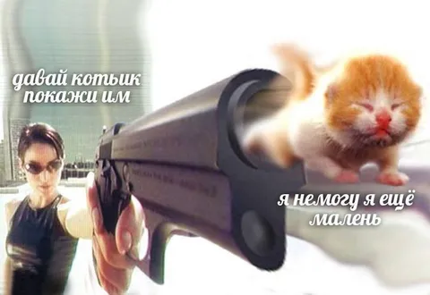 Покажи им, котик