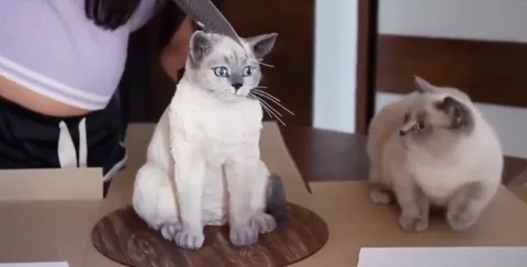 Кот съедает кота из торта
