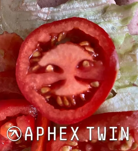 Aphex Twin Tomato Face