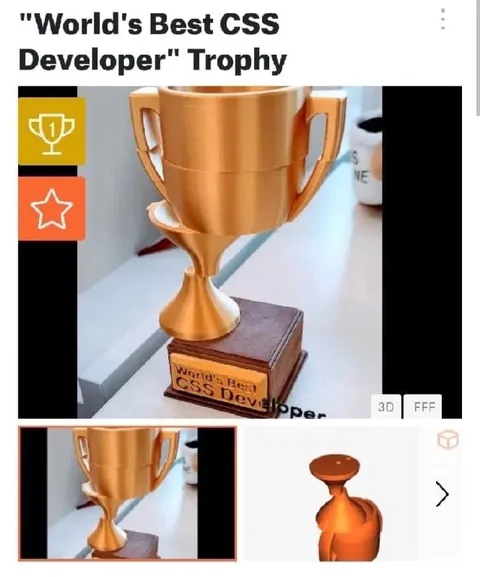 World's Best CSS Developer Trophy