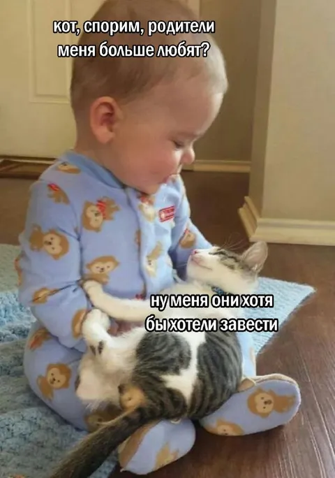 Родители больше любят кота