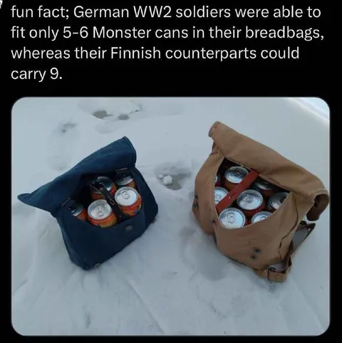 Finnish Soldiers Carry More Monster