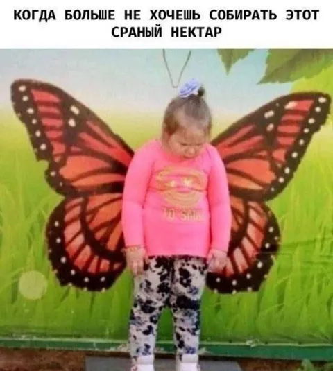 Больше не хочешь собирать нектар