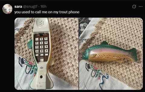 Trout Phone