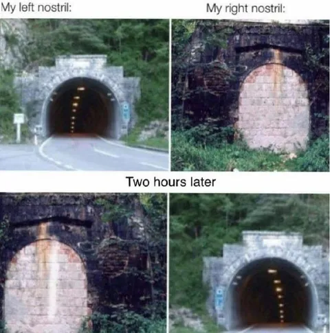 My Left Nostril vs Right Nostril
