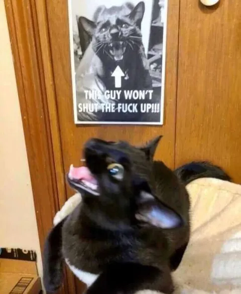 This Guy Won't Shut Up