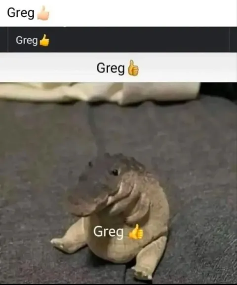 Greg Thumbs Up Meme