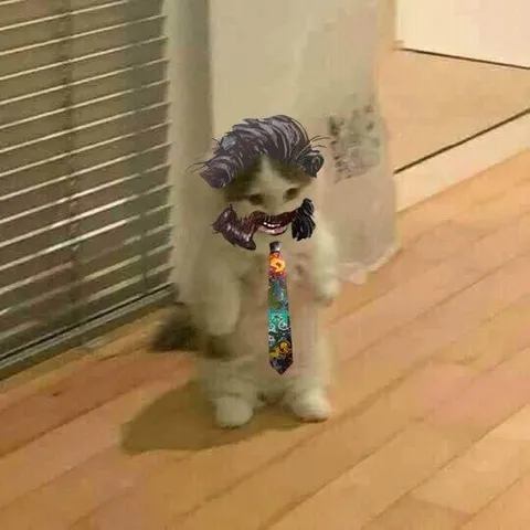 Кот пришёл на собеседование