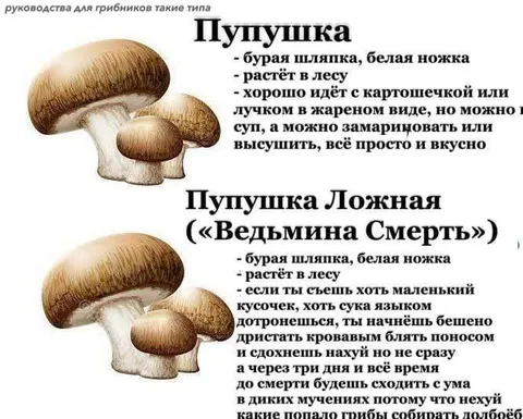 Пупушка и пупушка ложная