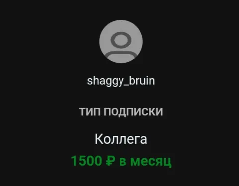 Коллега за 1500 ₽ в месяц