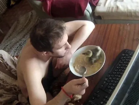 Обед за компьютером