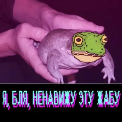 Ненавижу эту жабу