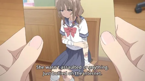 Bullied on the Internet