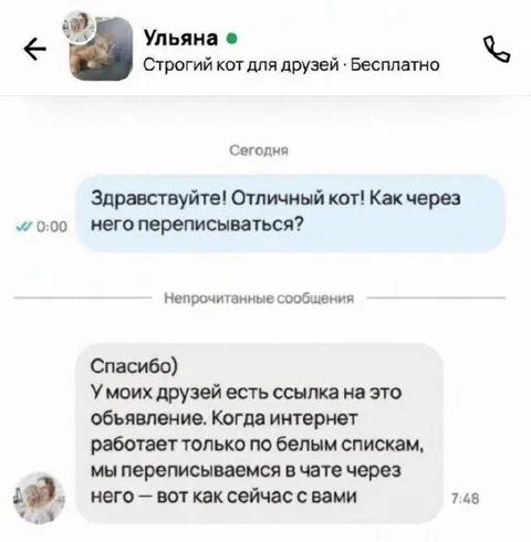 Строгий кот для друзей