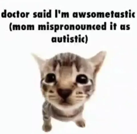 Awesometastic Autistic Cat