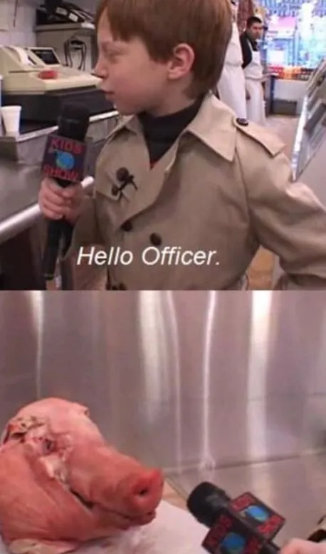 Hello Officer Pig Interview