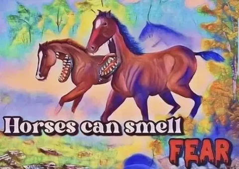 Horses Can Smell Fear