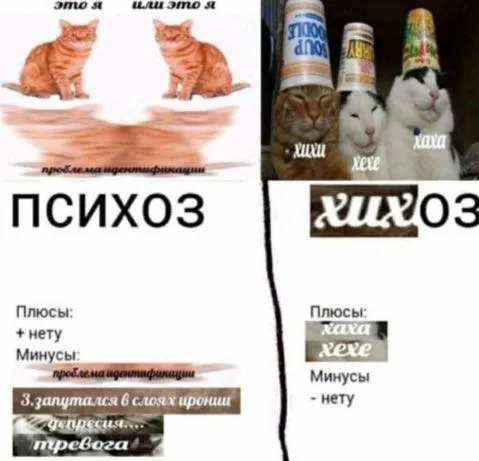 Психоз и проблемы идентификации