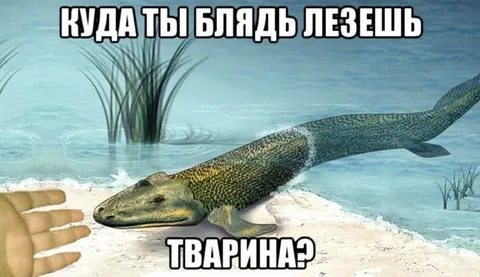 Куда ты лезешь, тварина