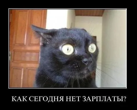 Как сегодня нет зарплаты?