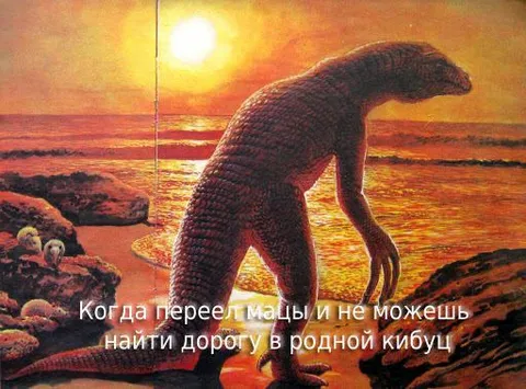 Переел мацы и заблудился