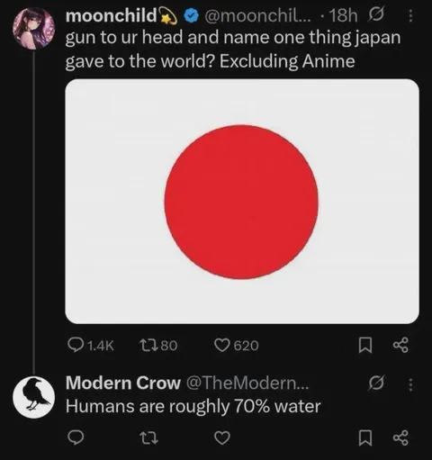 Japan Gave Us the Japanese Flag