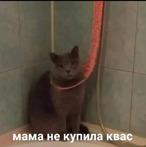Мама не купила квас