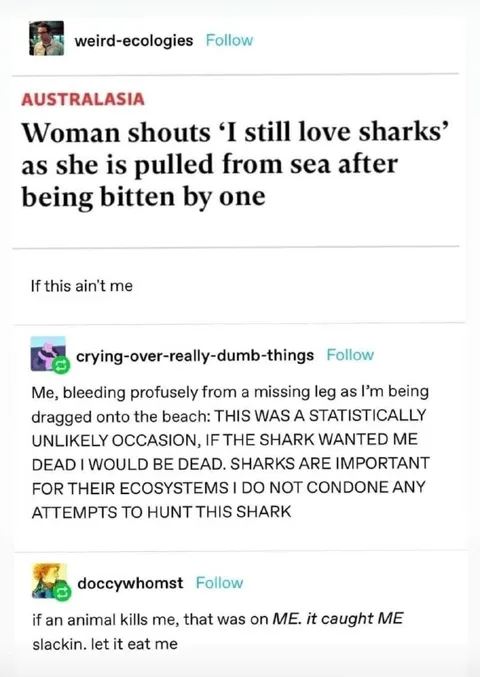 Shark Attack Statistical Defense