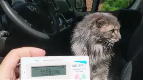 Cat Sets Off Geiger Counter