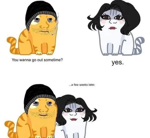 Cat Date a Few Weeks Later