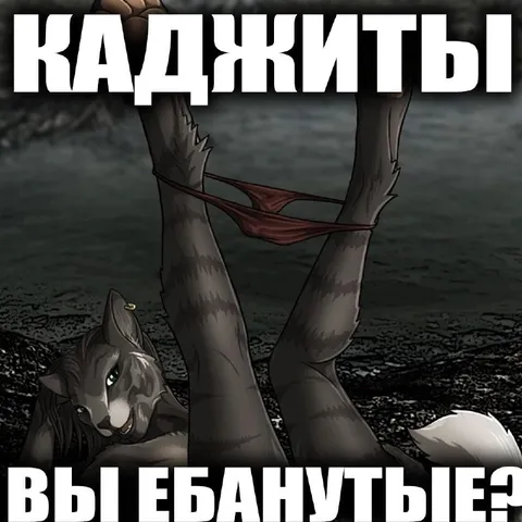 Каджиты, вы ебанутые?